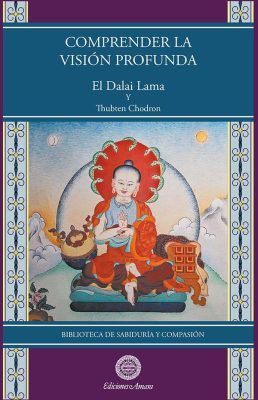 Portada del libro de budismo Comprender la visión profunda. Esscrito por el Dalai Lama. Explica la vacuidad según Nagarjuna.